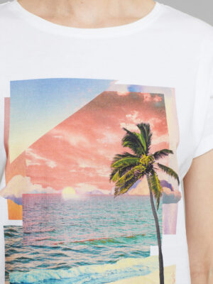 DEDICATED - CAMISETA SUNSET 3